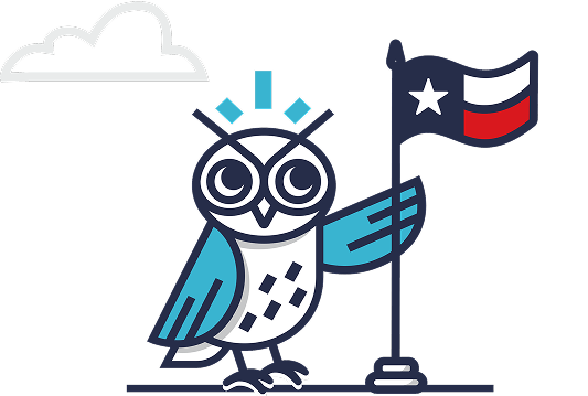 An illustrated owl holding a Texas flag